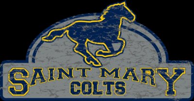 St Mary Colts Banner Distressed